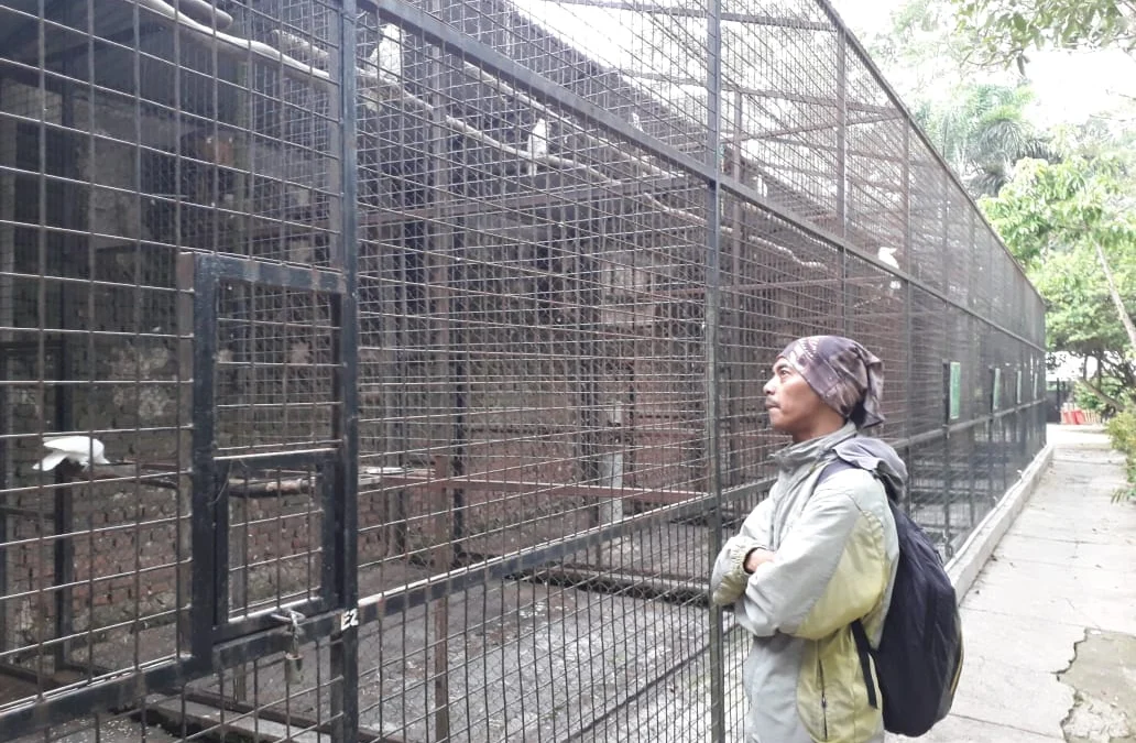 Pengunjung melihat binatang koleksi Taman Satwa Cikembulan