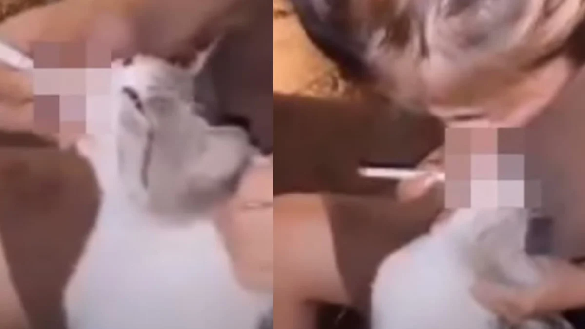 Viral! Seorang Wanita Paksa Kucing Untuk Merokok Sampai Dihujat Warganet