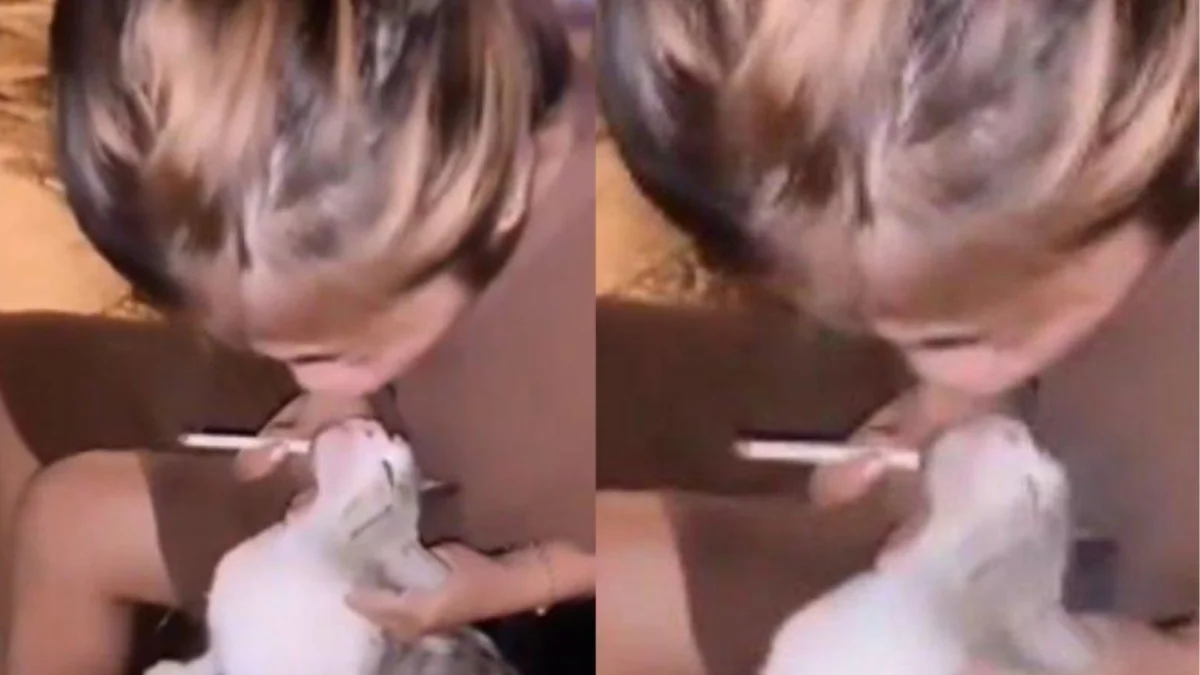 Viral Wanita Memberikan Rokok dan Tiup Asap ke Kucing, Netizen Mengecam Tindakan Kejam