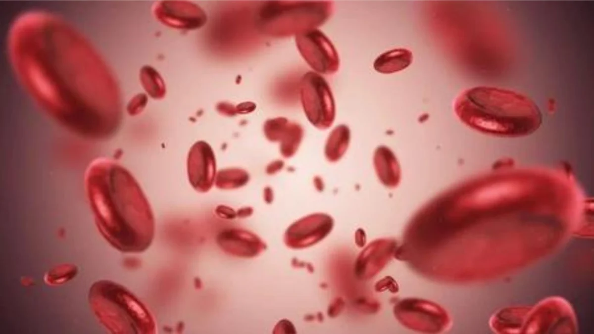 Wow! Ditemukan Golongan Darah P yang Sangat Langka di China