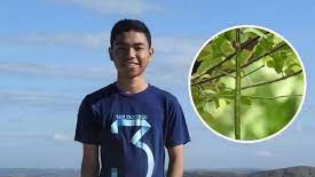 Kisah Seorang Pemuda Asal NTT Yang Menemukan Spesies Serangga Baru