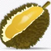 Begini Penjelasan Durian Bisa Disebut Raja Buah