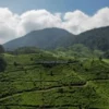 Tempat Wisata di Kabupaten Bogor, Cocok Untuk Bulan Maduan