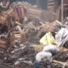 Kinerja Pengelola Dinilai Sangat Buruk, Pasar Gedebage Kini Dihantui Gungungan Sampah