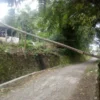 Pohon tumbang di Ciloa Desa Cibiuk Kaler Kecamatan Cibiuk, timpa dak rumah dan kabel listrik, Selasa (12/3).(f