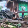 Rumah Wiwi rusak ditimpa pohon
