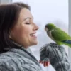 Memelihara Burung: Hobi yang Membawa Manfaat untuk Kesehatan Mental