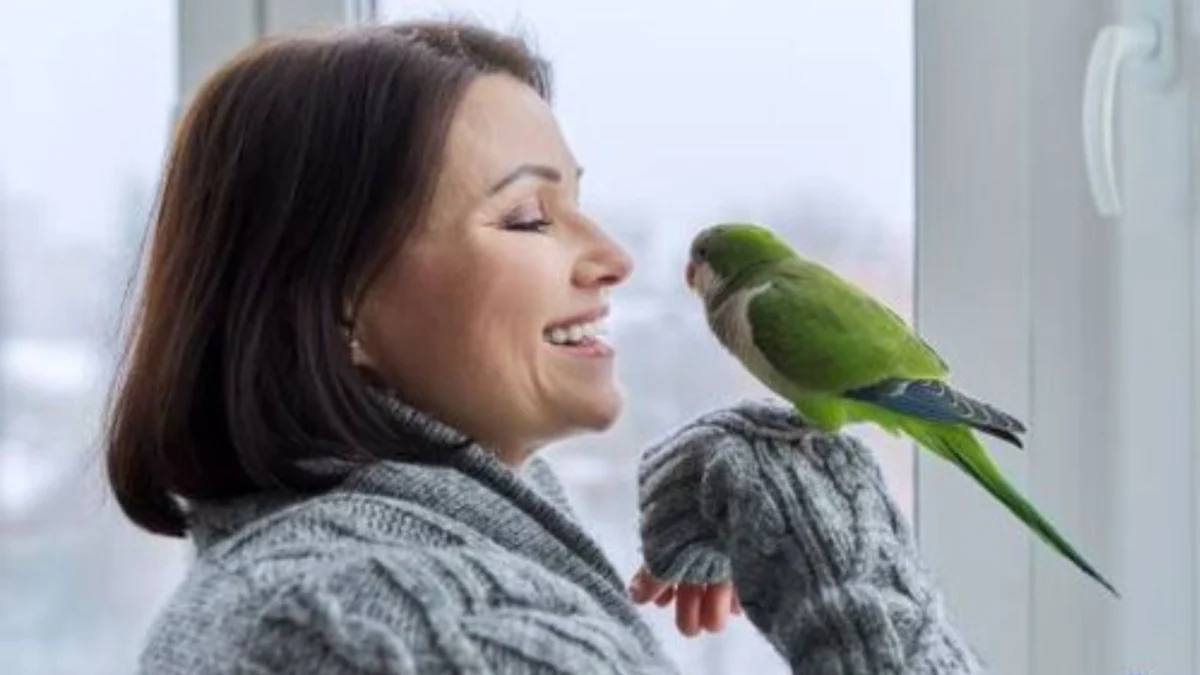 Memelihara Burung: Hobi yang Membawa Manfaat untuk Kesehatan Mental