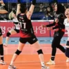 Red Sparks Berjuang Menuju Playoff Liga Voli Korea: Tantangan dan Peluang
