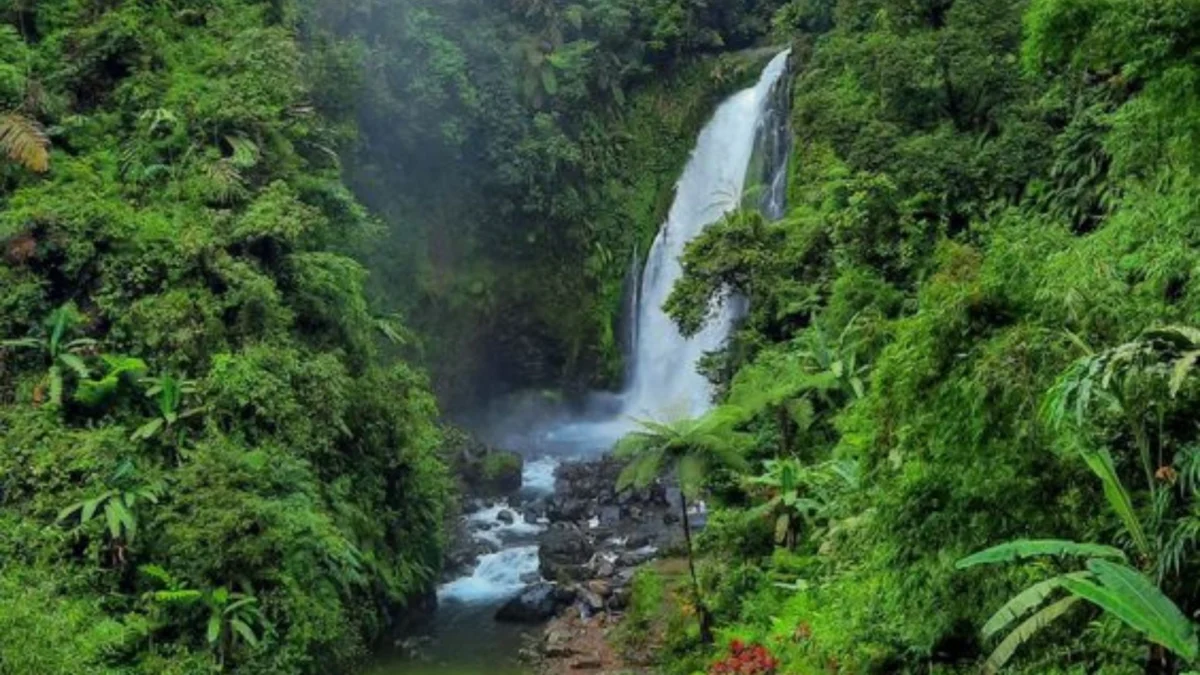 Jelajahi Keajaiban Alam di Garut, Jawa Barat, Ini Destinasi Wisata Keindahan Tak Terlupakan