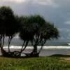 Menikmati Keindahan Wisata Pesisir di Garut Selatan: 3 Pantai Menawan dalam Satu Hari