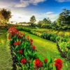 Ini Dia Kebun Mawar Situhapa, Destinasi Wisata Pedesaan Eropa di Garut
