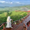 Ayo Healing ke Taman Langit Pangalengan, Destinasi Wisata yang Paling Populer di Bandung