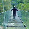 Destinasi Wisata Kawah Kamojang Terbaru 2024, Ada Jembatan Gantung Yang Unik!