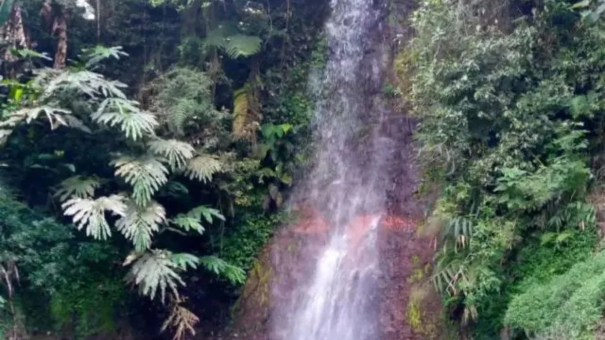 Curug Cihanyawar: Surga Tersembunyi untuk Healing dan Rekreasi Alam di Garut